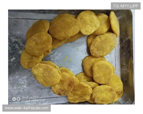 博乐真人官网网站首页最新优惠福利与会员专属权益介绍